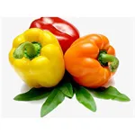 Pepper