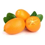 Kumquat